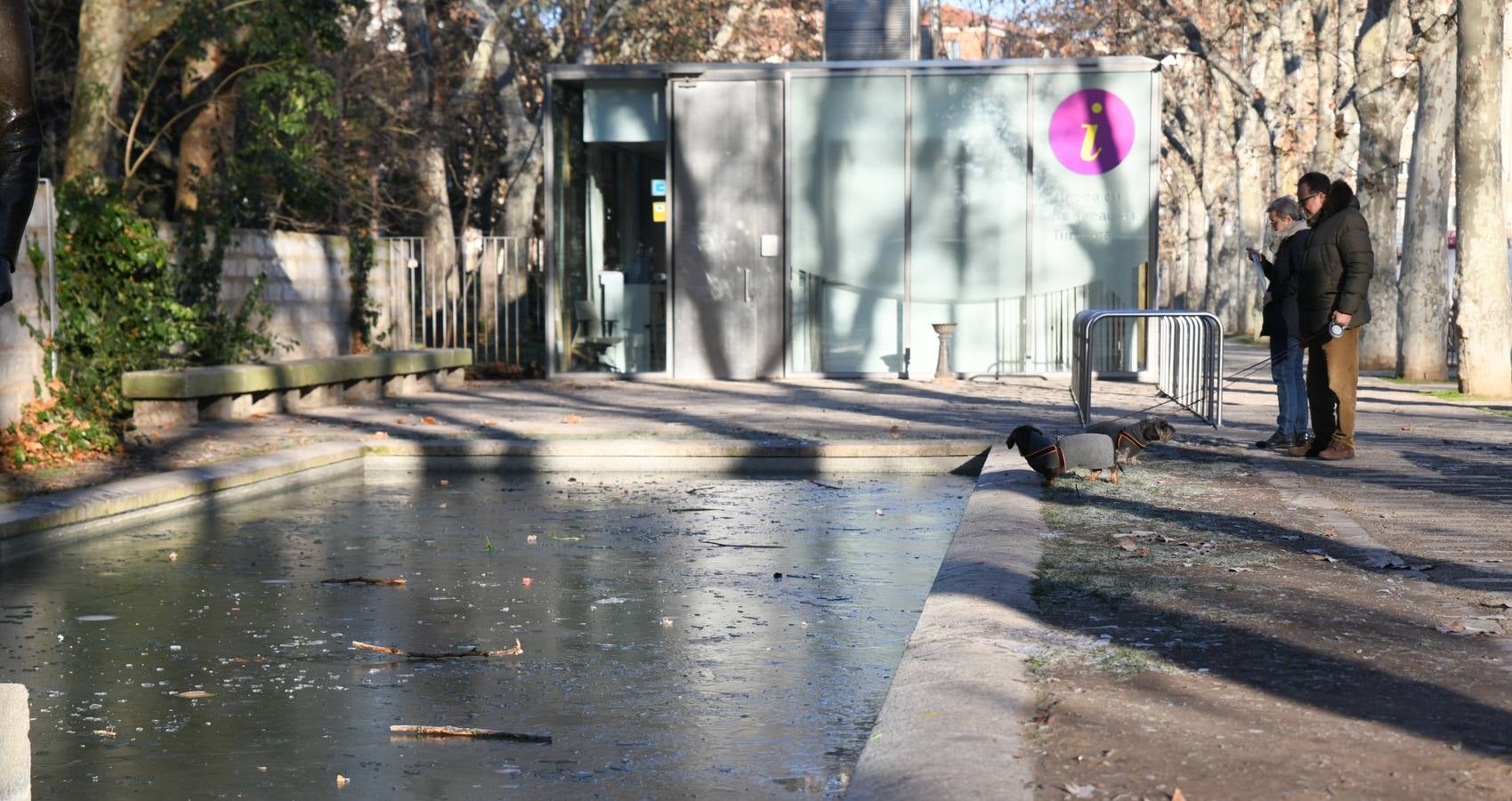 Fotos: Helada en Valladolid