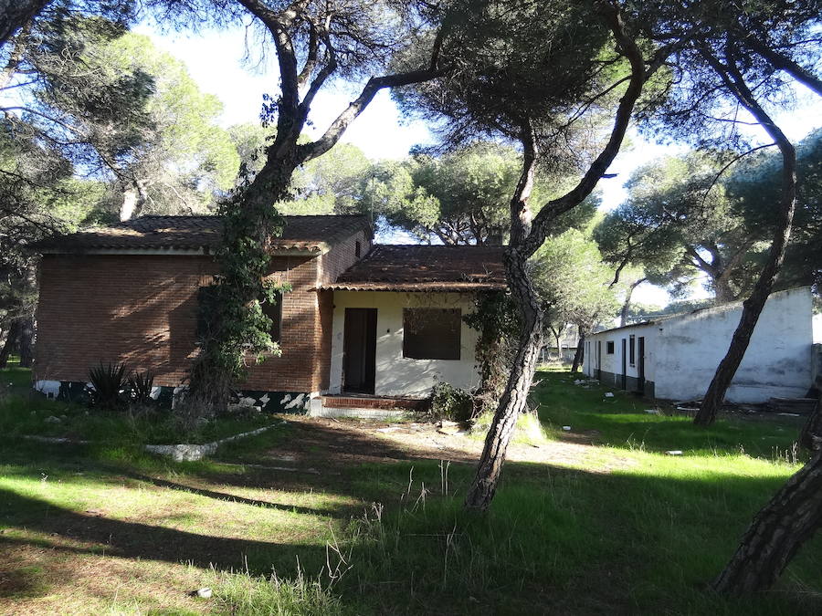 Fotos: Estado actual del Círculo Campestre, en Valladolid