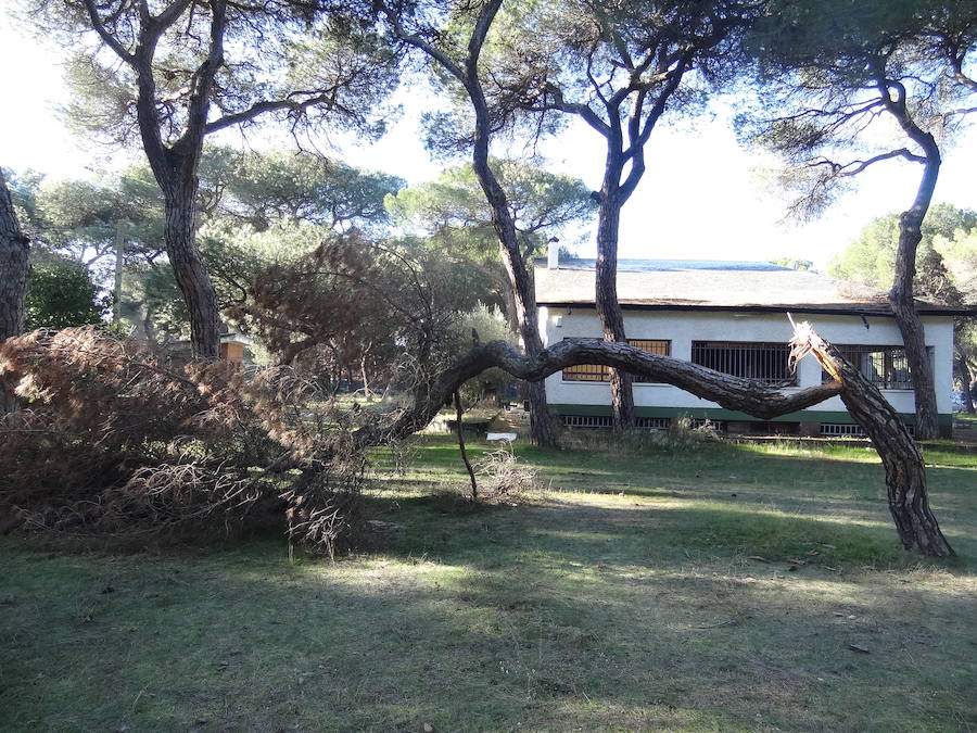 Fotos: Estado actual del Círculo Campestre, en Valladolid