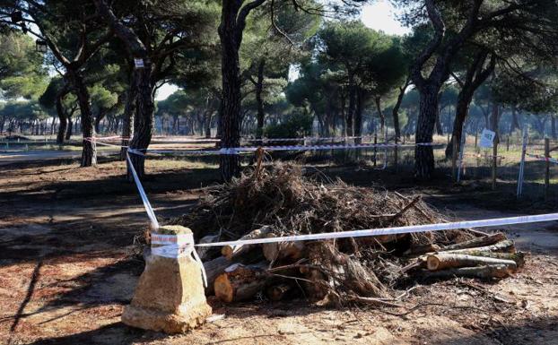 La leña y a está apilada en el recinto. 