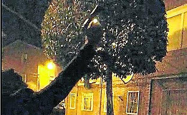 El hombre dispara su pistola al aire. 