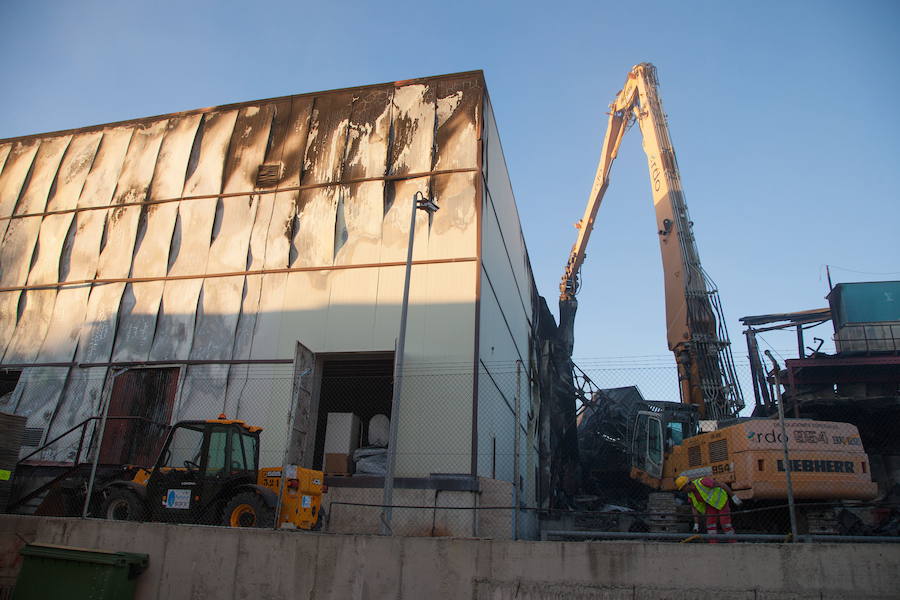 Ornua podría triplicar su producción con su nueva planta en Ávila