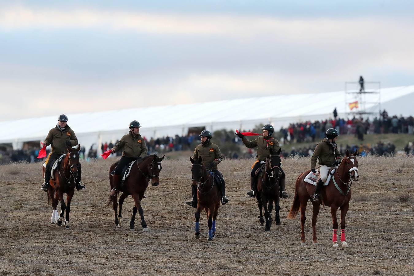 Fotos: Carreras del Campeonato Nacional de Galgos de Nava