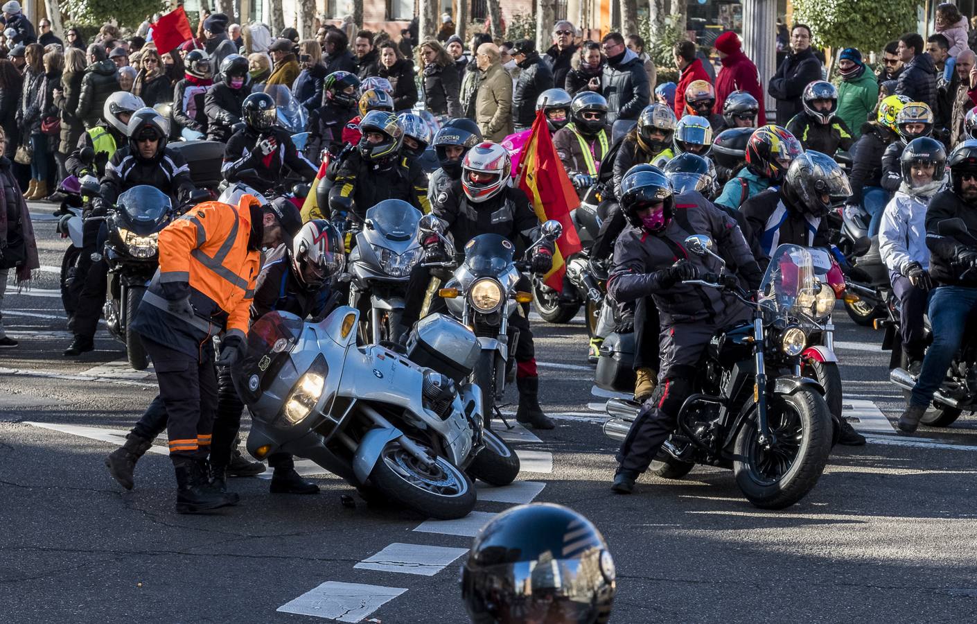 Fotos: Desfile de banderas de Pingüinos 2019