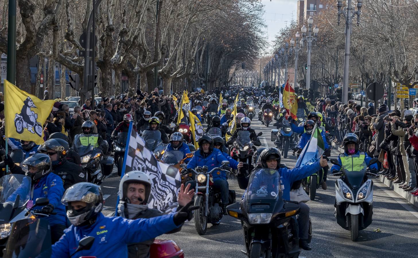 Fotos: Desfile de banderas de Pingüinos 2019