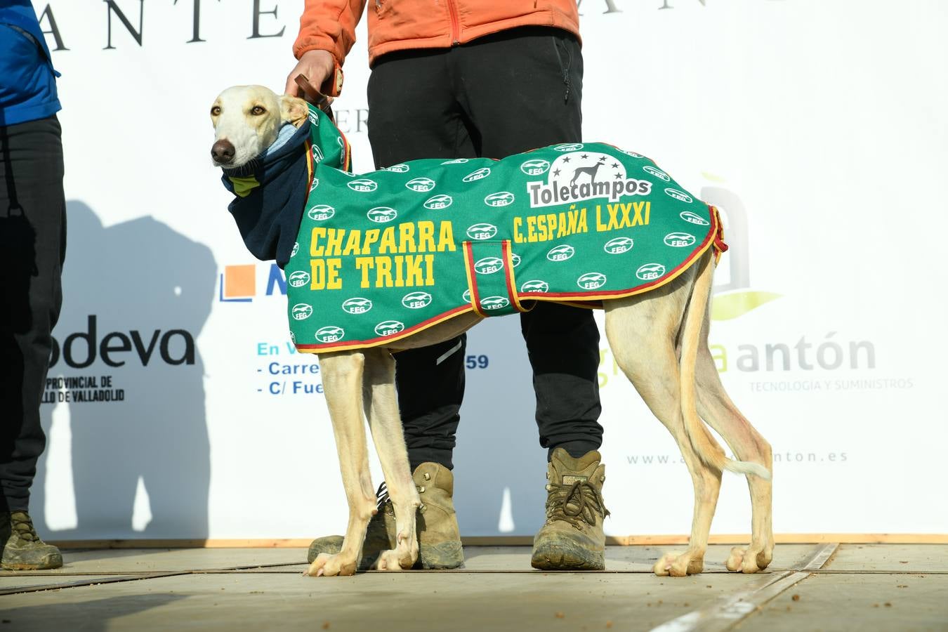 Fotos: Octavos de final del Campeonato Nacional de galgos, en Nava del Rey