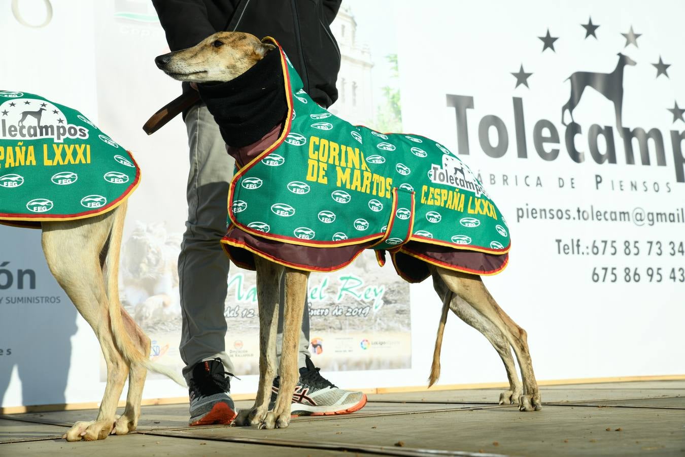 Fotos: Octavos de final del Campeonato Nacional de galgos, en Nava del Rey