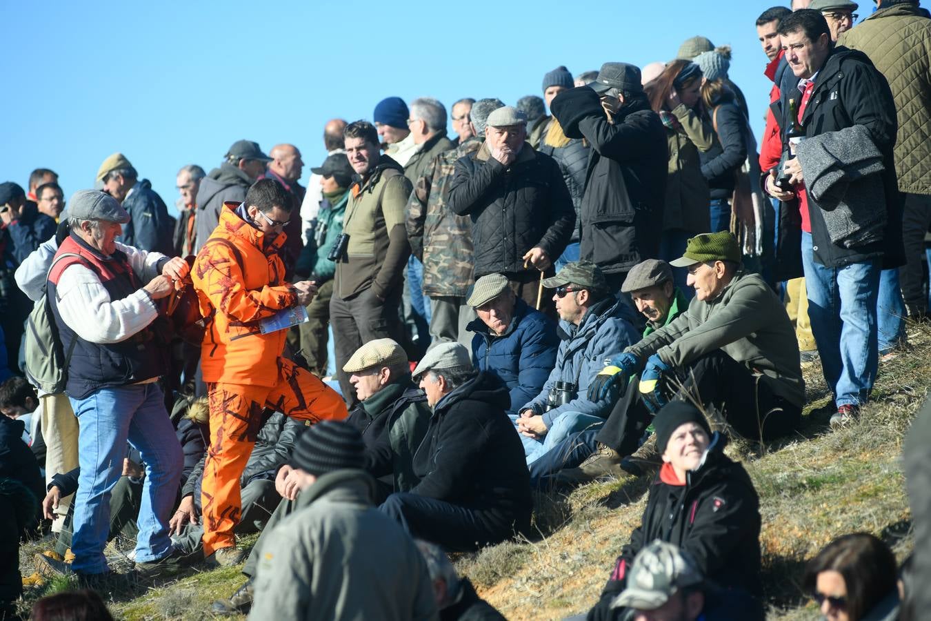Fotos: Octavos de final del Campeonato Nacional de galgos, en Nava del Rey