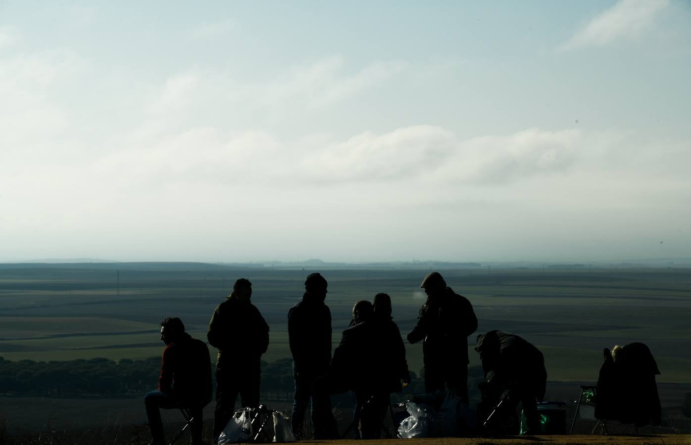 Fotos: Octavos de final del Campeonato Nacional de galgos, en Nava del Rey