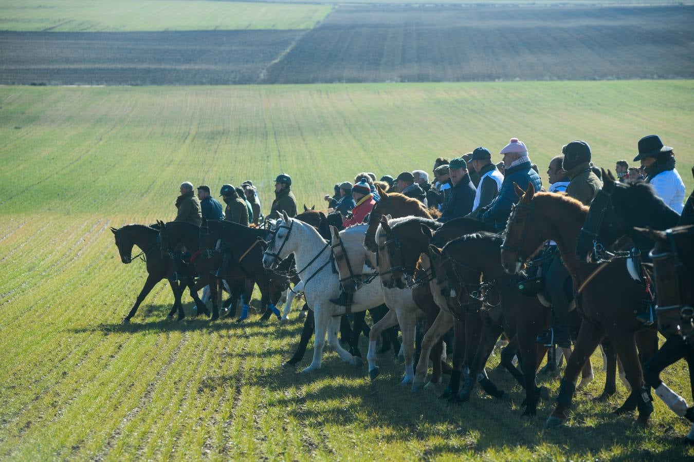 Fotos: Octavos de final del Campeonato Nacional de galgos, en Nava del Rey