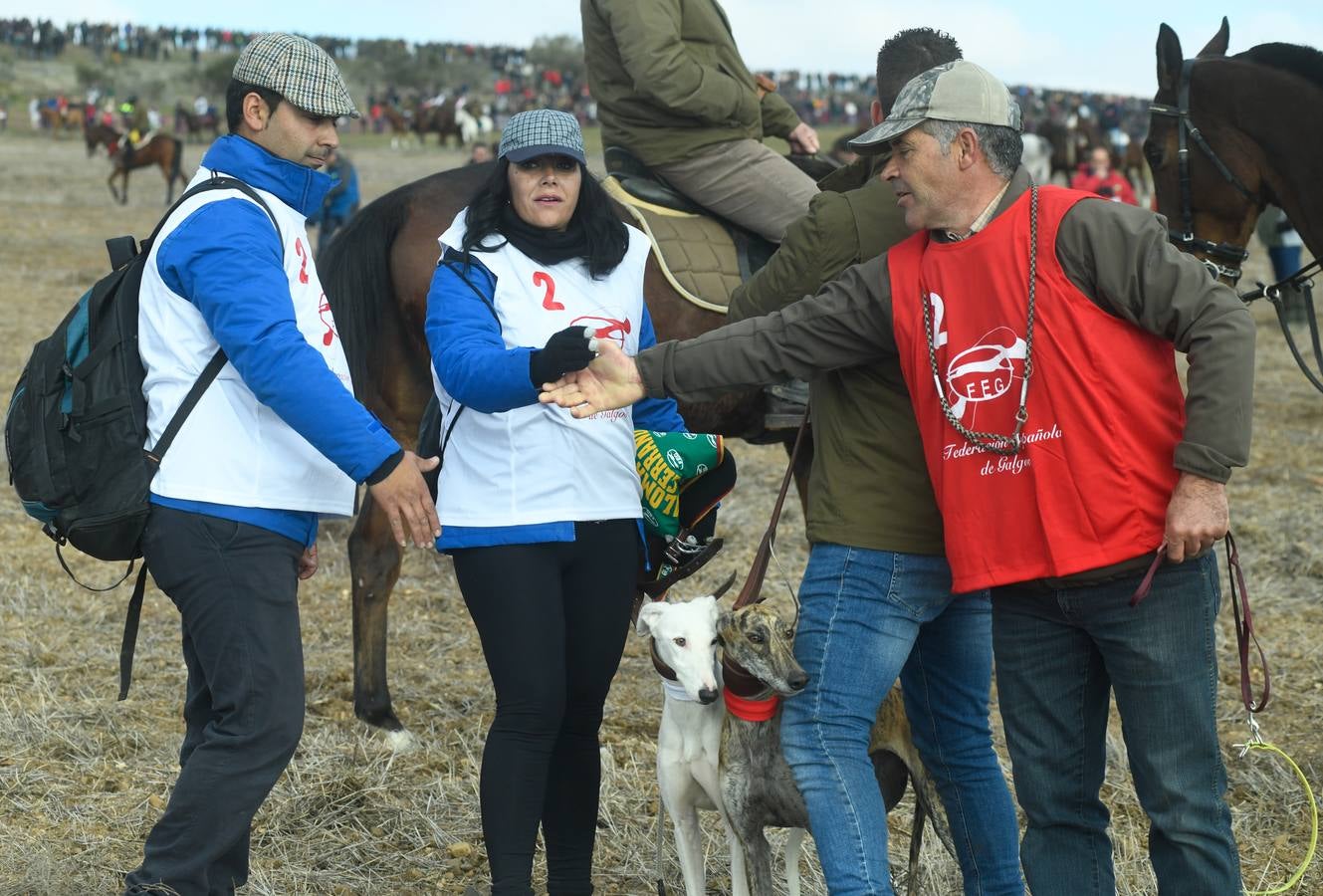 Fotos: Octavos de final del Campeonato Nacional de galgos, en Nava del Rey