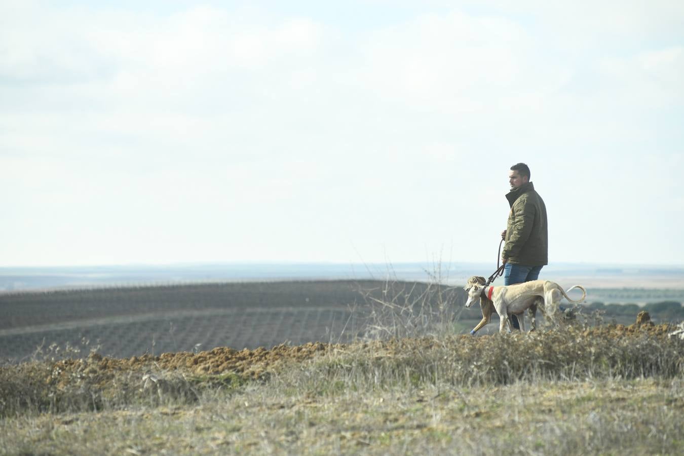 Fotos: Octavos de final del Campeonato Nacional de galgos, en Nava del Rey