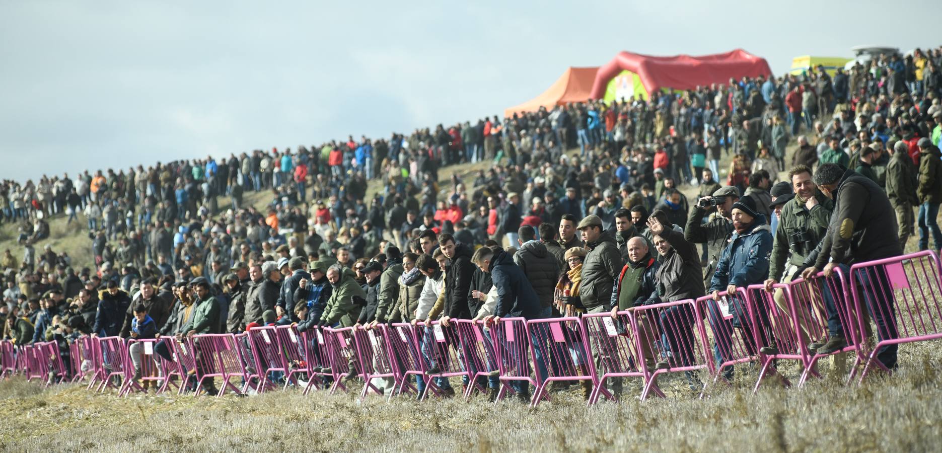Fotos: Octavos de final del Campeonato Nacional de galgos, en Nava del Rey