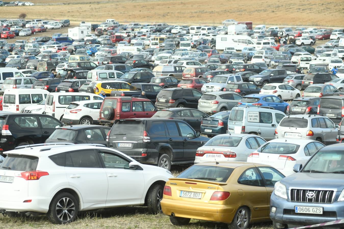 Fotos: Octavos de final del Campeonato Nacional de galgos, en Nava del Rey