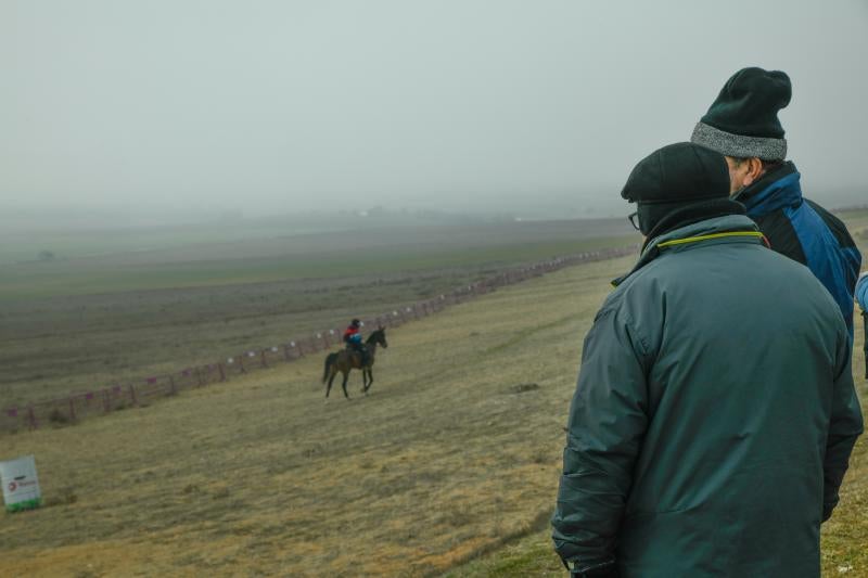 Fotos: Jornada del domingo en el Campeonato Nacional de Galgos de Nava del Rey