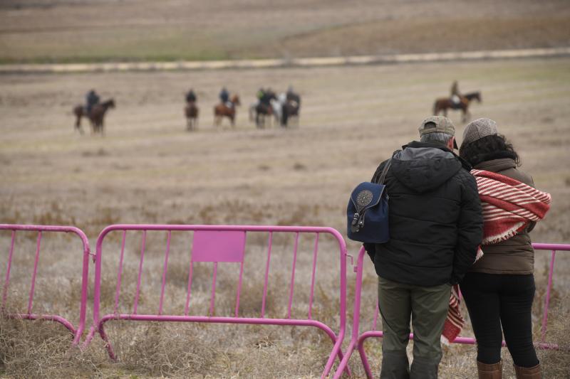 Fotos: Jornada del domingo en el Campeonato Nacional de Galgos de Nava del Rey