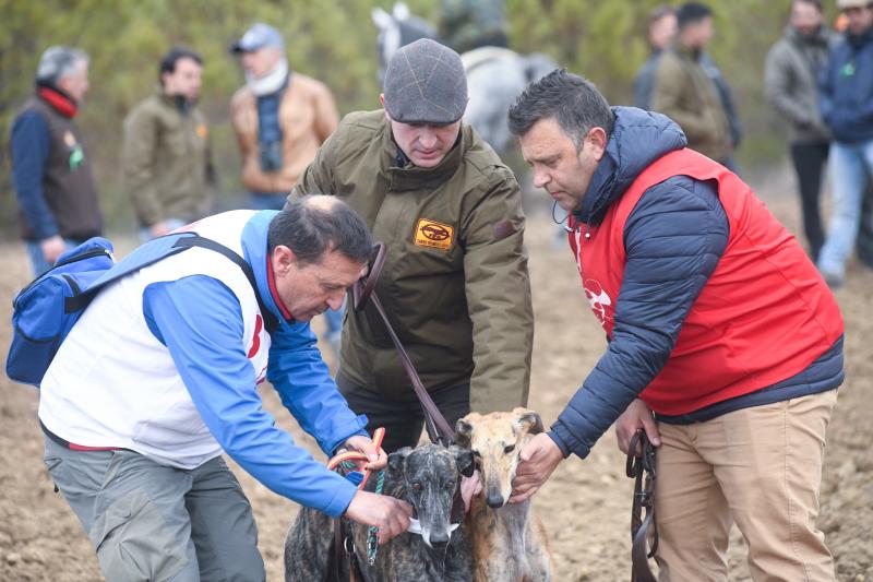 Fotos: Jornada del domingo en el Campeonato Nacional de Galgos de Nava del Rey