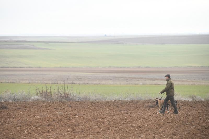 Fotos: Jornada del domingo en el Campeonato Nacional de Galgos de Nava del Rey
