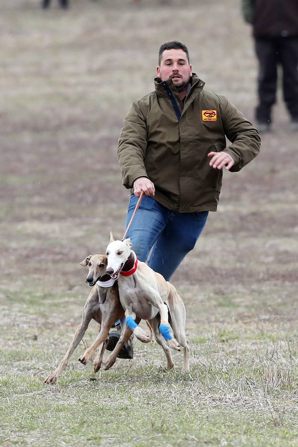 Fotos: Jornada del domingo en el Campeonato Nacional de Galgos de Nava del Rey