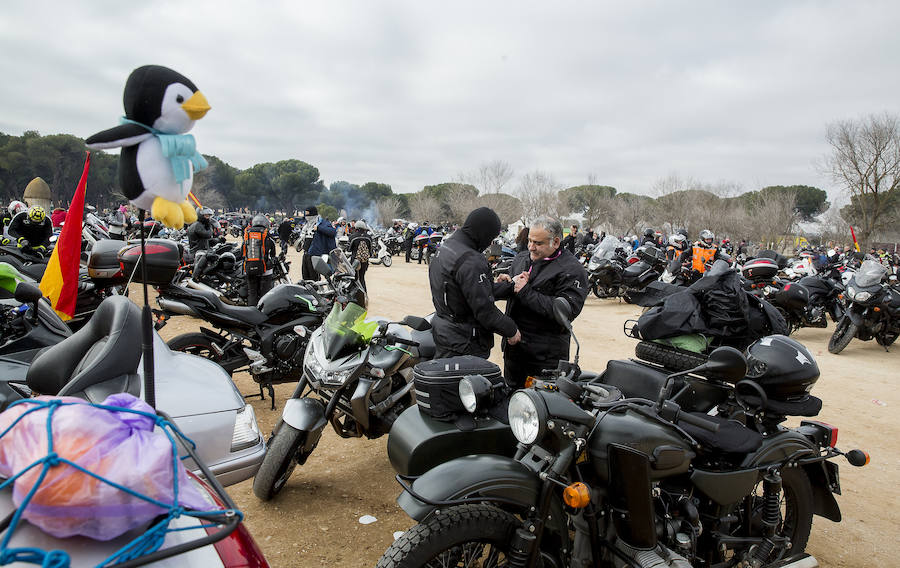 Se ha hecho entrega de los Pingüinos de Oro y de Honor de esta 36 edición