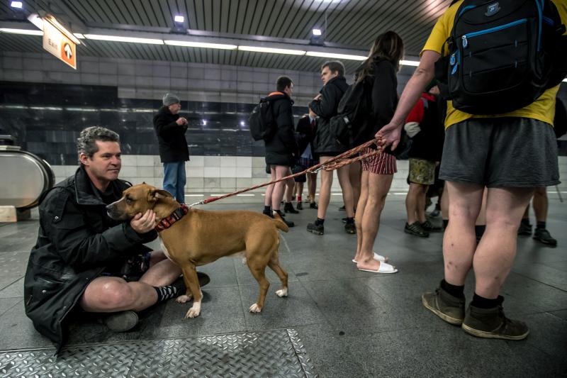 Es la décimo octava edición del 'No Pants Subway Ride', que cada año, desde el 2002, organiza la plataforma de comediantes Improv Everywhere y consiste en quitarse la falda o el pantalón dentro del suburbano con el objetivo de hacer reír a la gente y divertirse