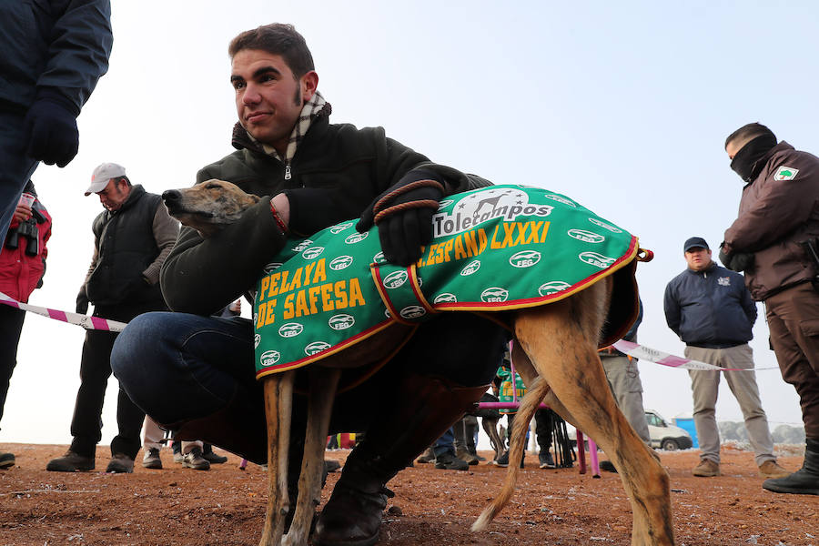 Fotos: Octavos de final del Campeonato Nacional de Galgos