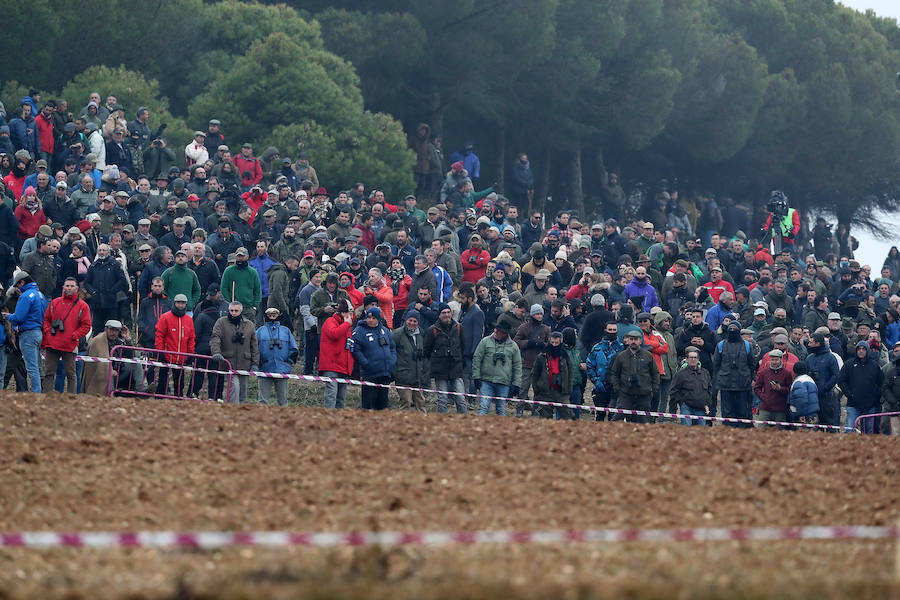 Fotos: Octavos de final del Campeonato Nacional de Galgos