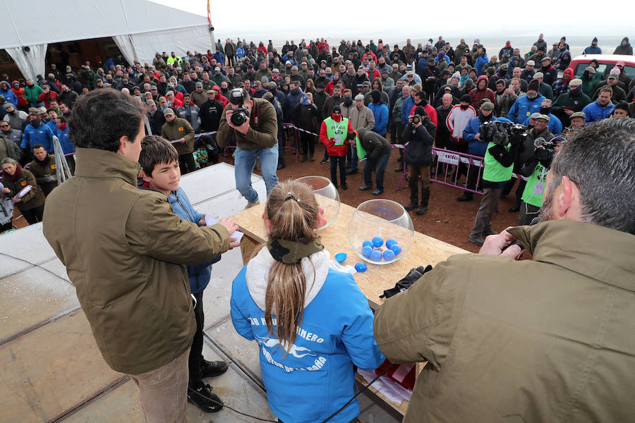 Fotos: Octavos de final del Campeonato Nacional de Galgos