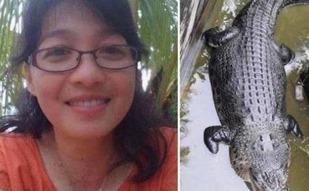 Un cocodrilo devora a una científica que le daba de comer en Indonesia | El  Norte de Castilla