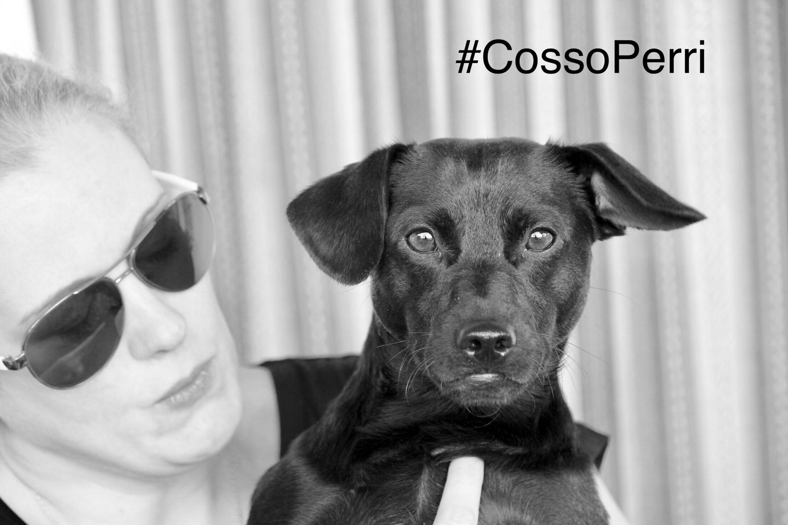 Hola soy #CossoPerri me puedes encontrar en twitter e Instagram.