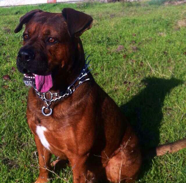 Golfo.