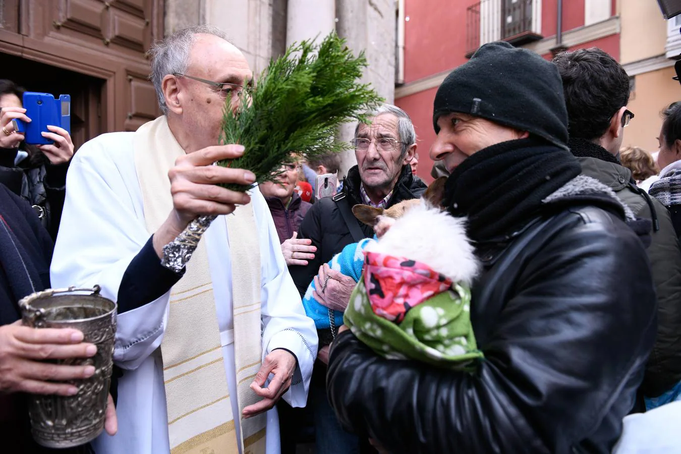 Fotos: Las mascotas reciben la bendición de San Antón en Valladolid