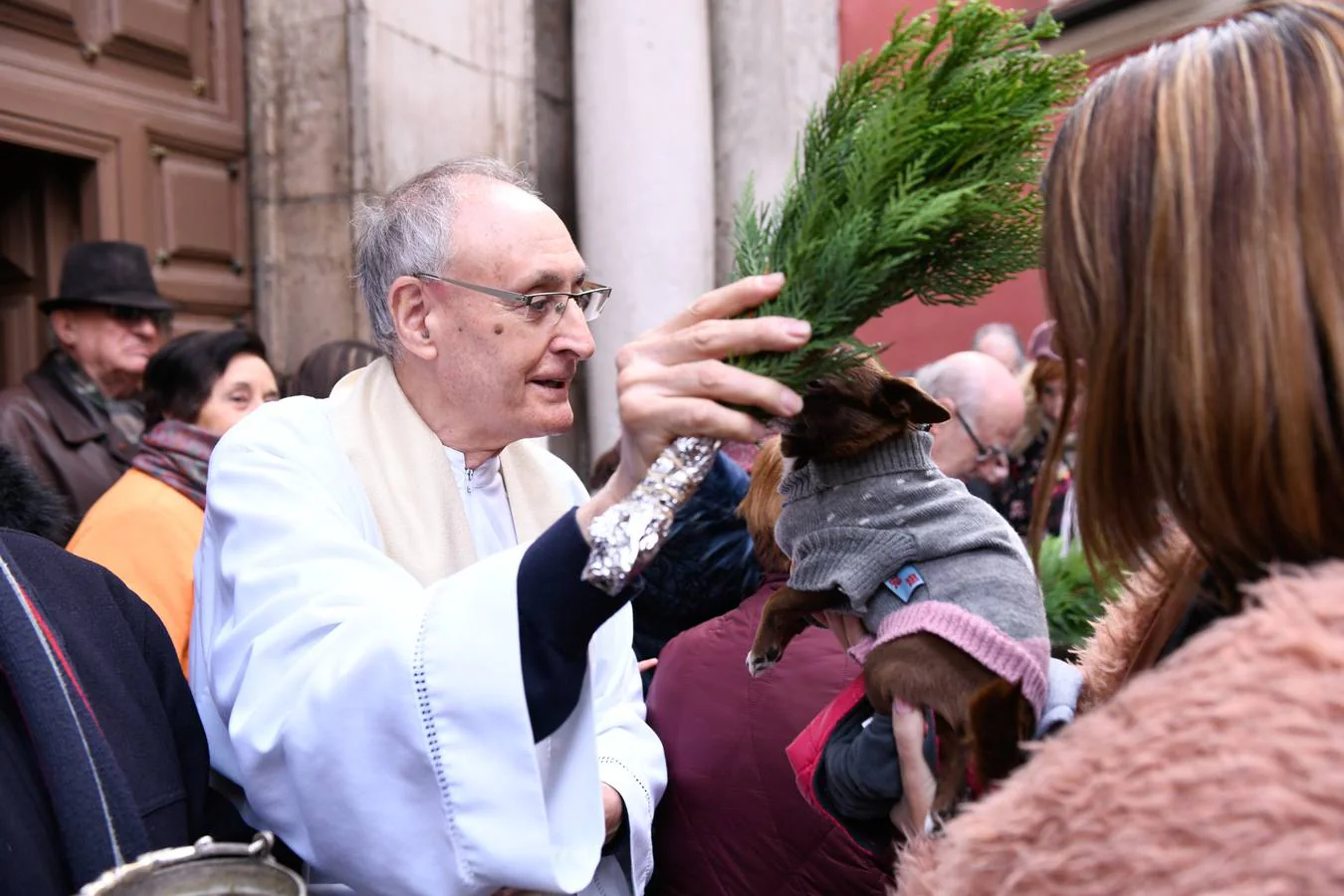 Fotos: Las mascotas reciben la bendición de San Antón en Valladolid