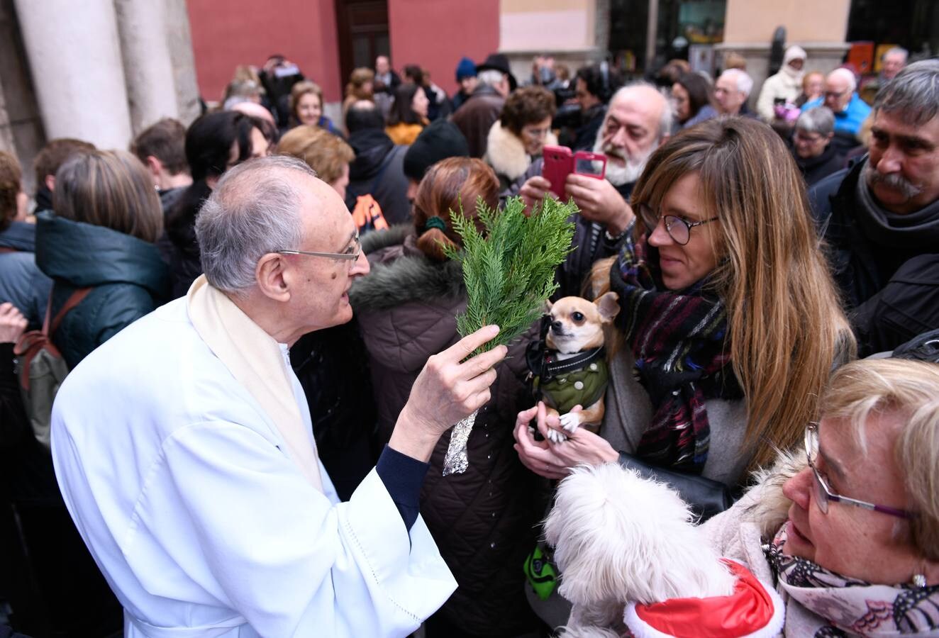Fotos: Las mascotas reciben la bendición de San Antón en Valladolid