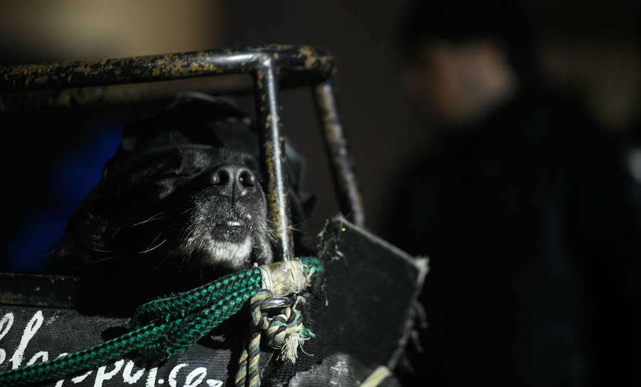 Fotos: Sábado noche y desfile de antorchas en Motauros