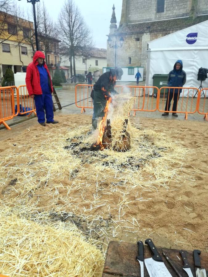 Fotos: Fiesta de la matanza en Dueñas