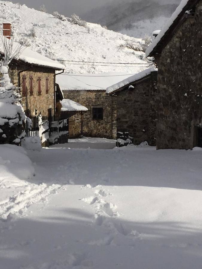 Fotos: La Montaña Palentina recibe la primera nevada de 2019