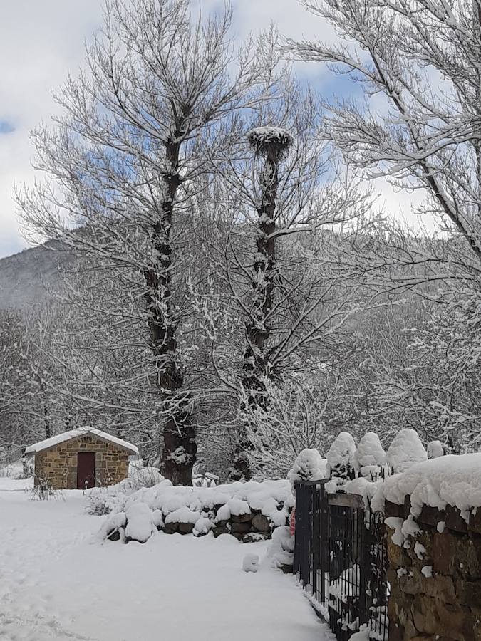 Fotos: La Montaña Palentina recibe la primera nevada de 2019