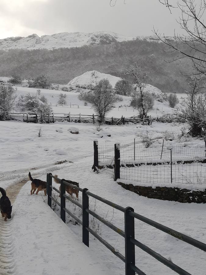 Fotos: La Montaña Palentina recibe la primera nevada de 2019