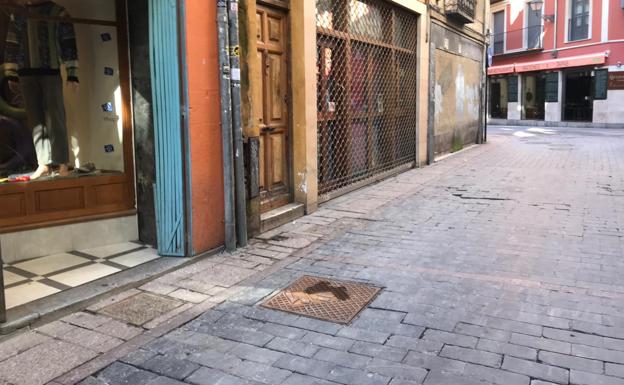 Imagen de la calle y la arqueta en la que el perro resultó electrocutado.