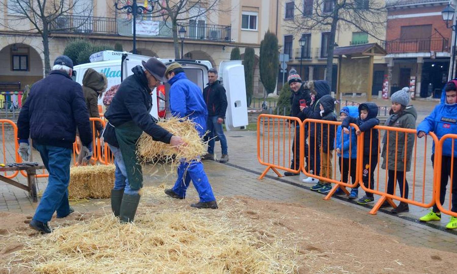 Fotos: Fiesta de la matanza en Dueñas