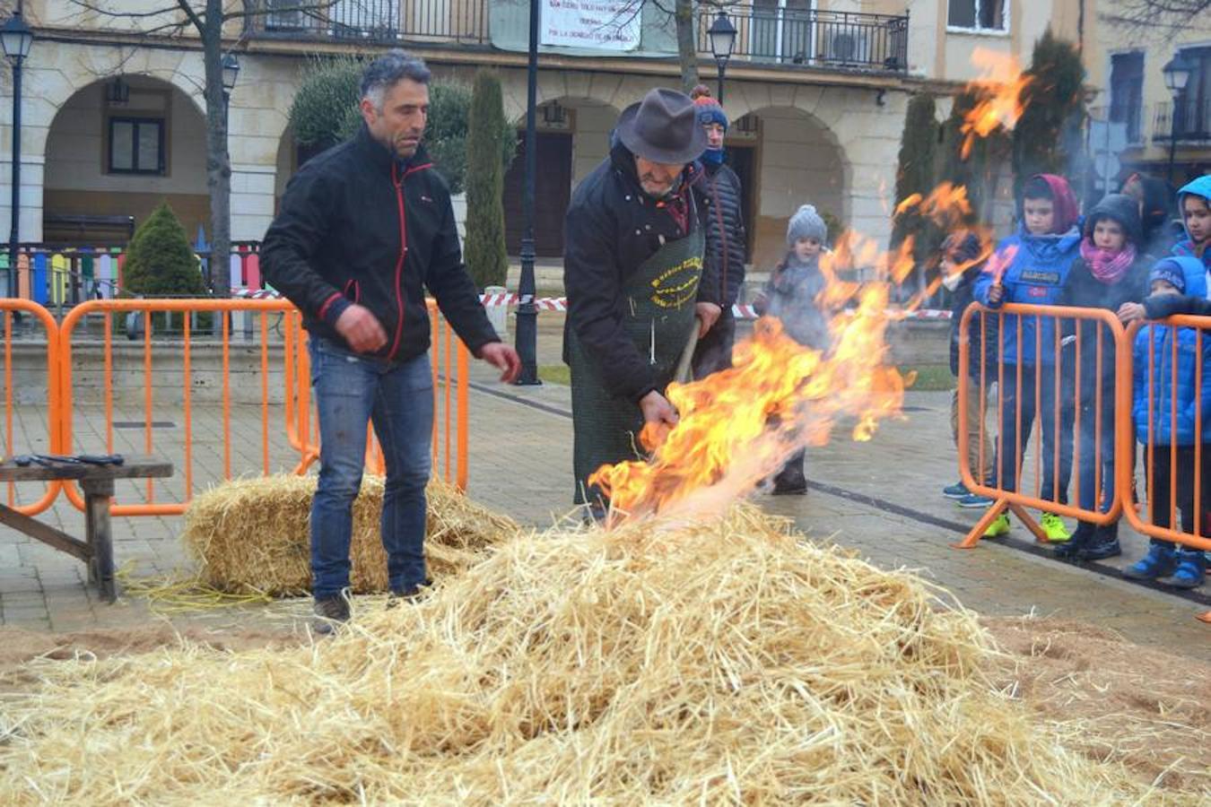 Fotos: Fiesta de la matanza en Dueñas