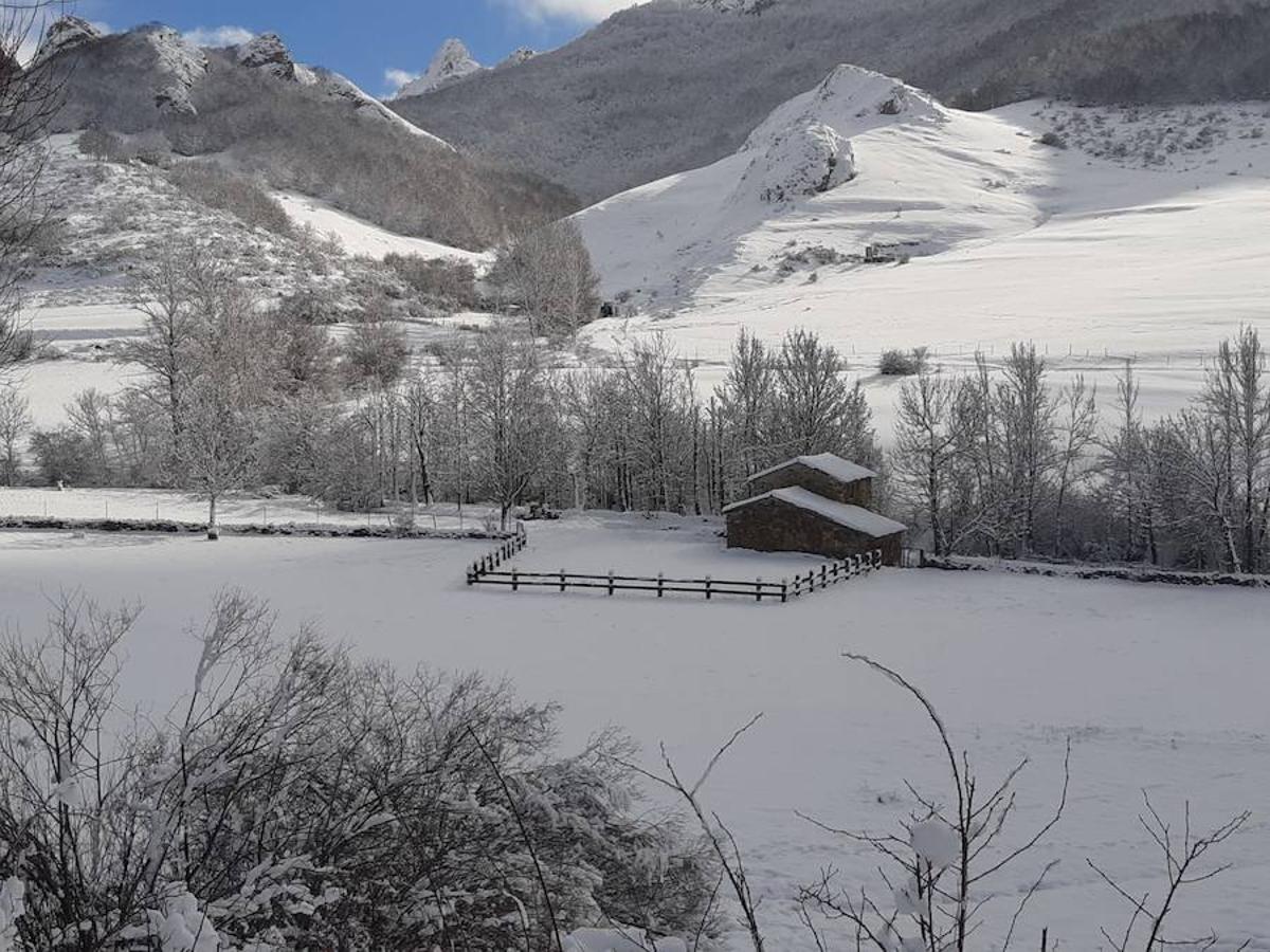 Fotos: La Montaña Palentina recibe la primera nevada de 2019