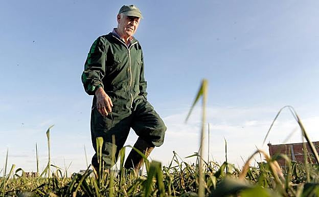 Un agricultor trabaja en un campo de cereal en la zona de Medina del Campo, en Valladolid. 