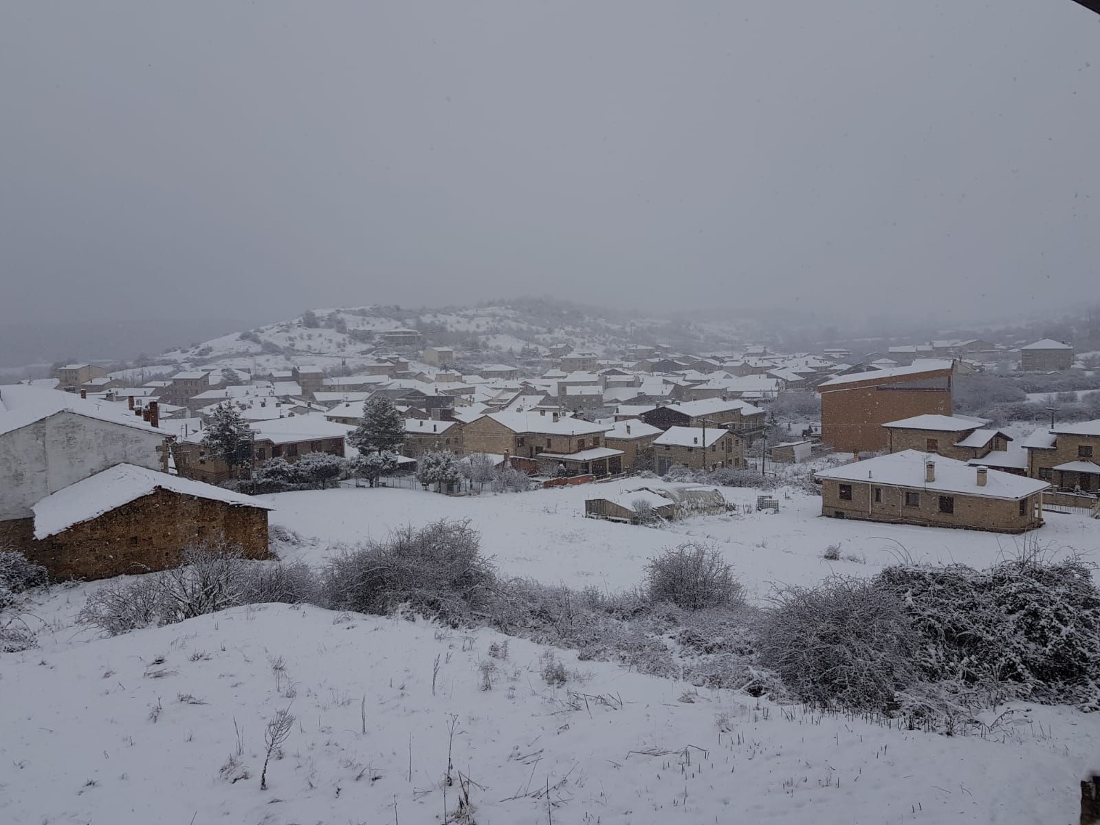 Palacios de la Sierra