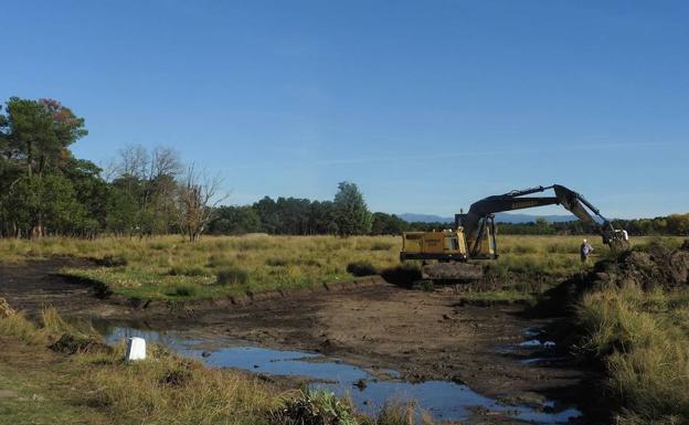 Trabajos de limpieza en la laguna de Cantalejo.