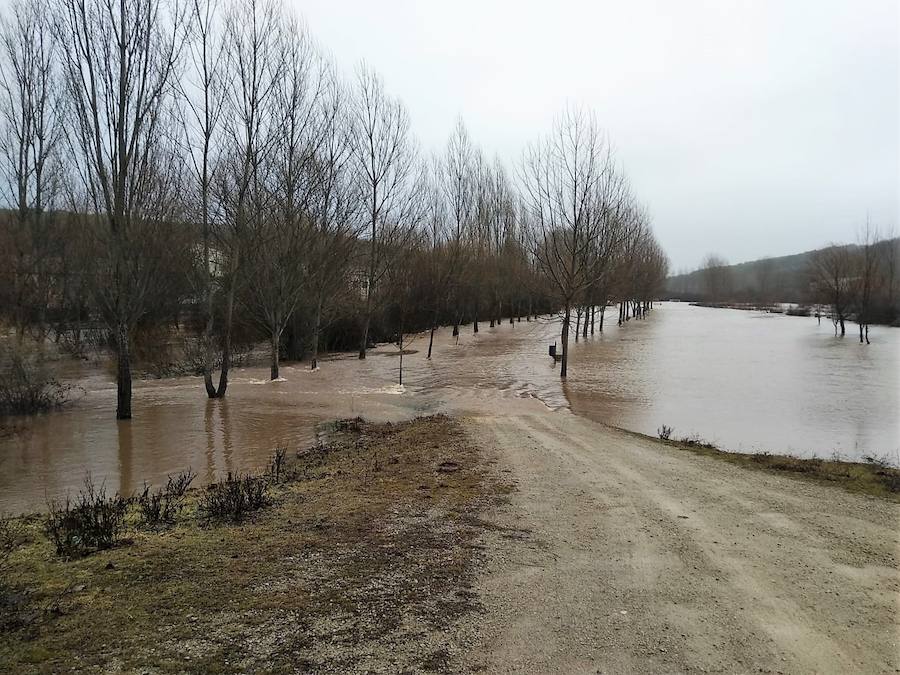 El Arlanza a su paso por Palacios de la Sierra.