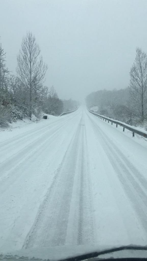 La nieve cierra dos puertos en León y Burgos, embolsa camiones en la A-52, en Sanabria, y obliga a usar cadenas en tres tramos. En las fotos, imágenes de León capital y de la provincia de León