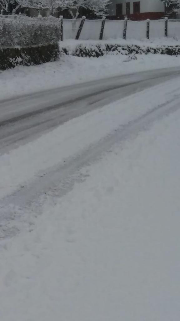 La nieve cierra dos puertos en León y Burgos, embolsa camiones en la A-52, en Sanabria, y obliga a usar cadenas en tres tramos. En las fotos, imágenes de León capital y de la provincia de León