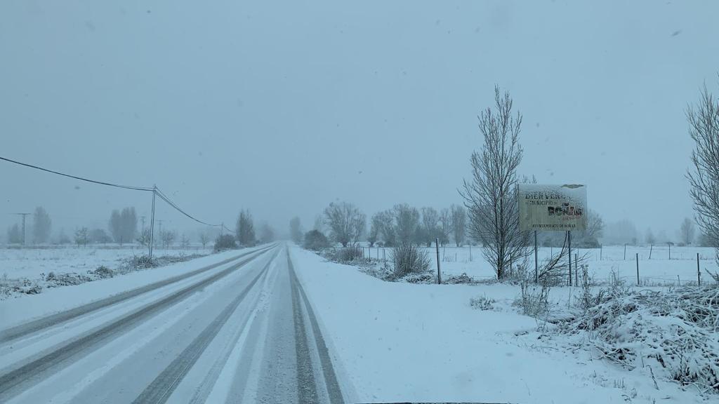 La nieve cierra dos puertos en León y Burgos, embolsa camiones en la A-52, en Sanabria, y obliga a usar cadenas en tres tramos. En las fotos, imágenes de León capital y de la provincia de León